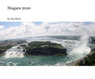 Niagara 2010 book cover