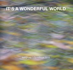 IT'S A WONDERFUL WORLD book cover