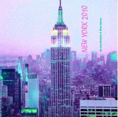 NEW YORK 2010 book cover