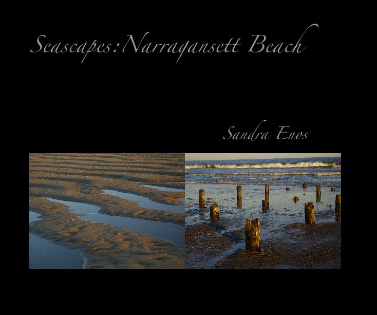 View Seascapes:Narragansett Beach by Sandra Enos