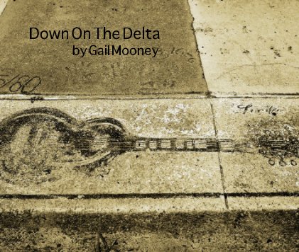 Down On The Delta book cover