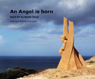 An Angel is born book cover