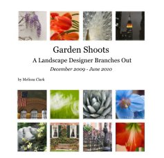 Garden Shoots A Landscape Designer Branches Out book cover