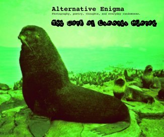 Alternative Enigma book cover
