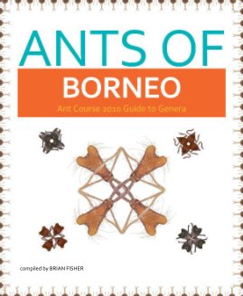 The Ants of Borneo book cover