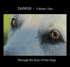 DAWGS - Volume One book cover