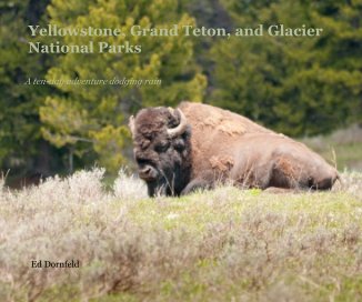 Yellowstone, Grand Teton, and Glacier National Parks book cover