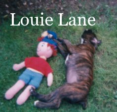 Louie Lane book cover