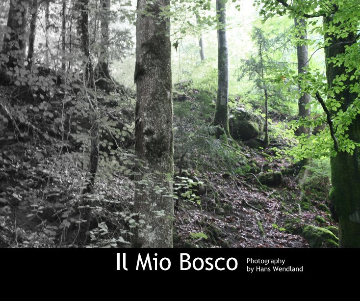 View Il Mio Bosco by Hans Wendland