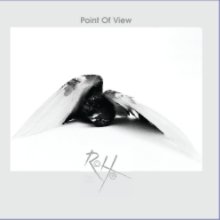 Point Of View book cover