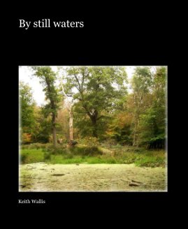 By still waters book cover