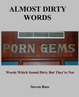 ALMOST DIRTY WORDS book cover