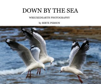 DOWN BY THE SEA book cover