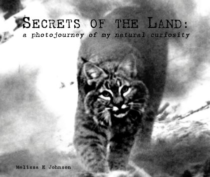 SECRETS OF THE LAND (Bonus Version) book cover