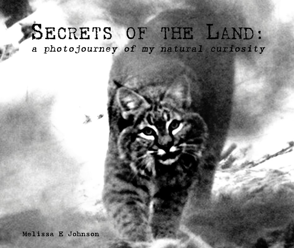 View SECRETS OF THE LAND (Bonus Version) by Melissa (Johnson) Hopkins