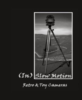 (In) Slow Motion book cover