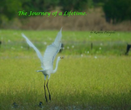 The Journey of a Lifetime. book cover