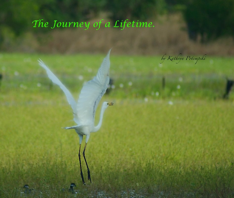 Bekijk The Journey of a Lifetime. op Kathryn Potempski