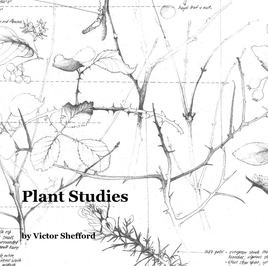 Ver Plant Studies por Victor Shefford