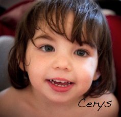 Cerys book cover