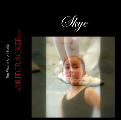 Skye Bork book cover
