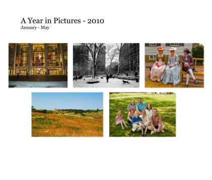A Year in Pictures - 2010 January - May book cover