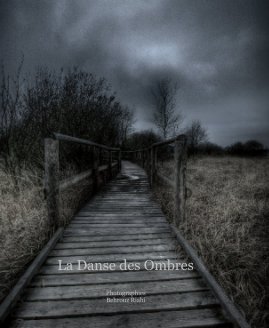 La Danse des Ombres book cover