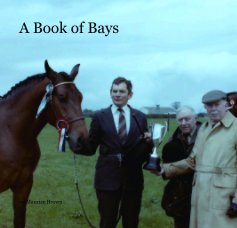 A Book of Bays book cover