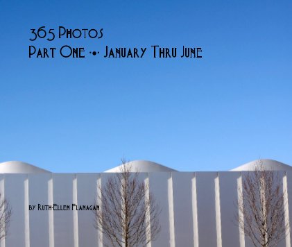 365 Photos Part One ∙•∙ January Thru June book cover