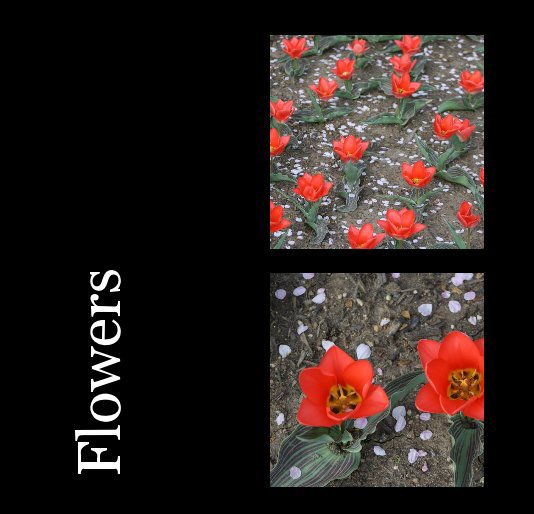 Ver Flowers por kbusc38807