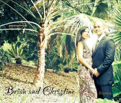 Brian and Christine Engagement book cover