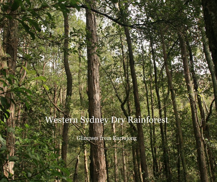 View Western Sydney Dry Rainforest Glimpses from Kurrajong by Paul and Lesley Hulbert