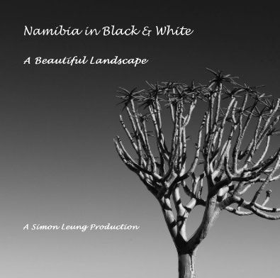 Namibia in Black & White A Beautiful Landscape book cover