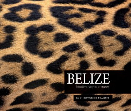 Belize book cover