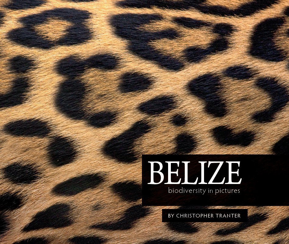 View Belize by Christopher Tranter