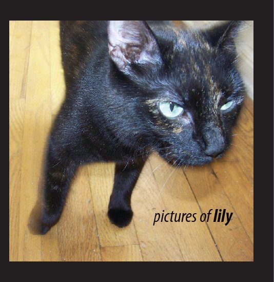 Bekijk new pictures of lily op Lisa Goss