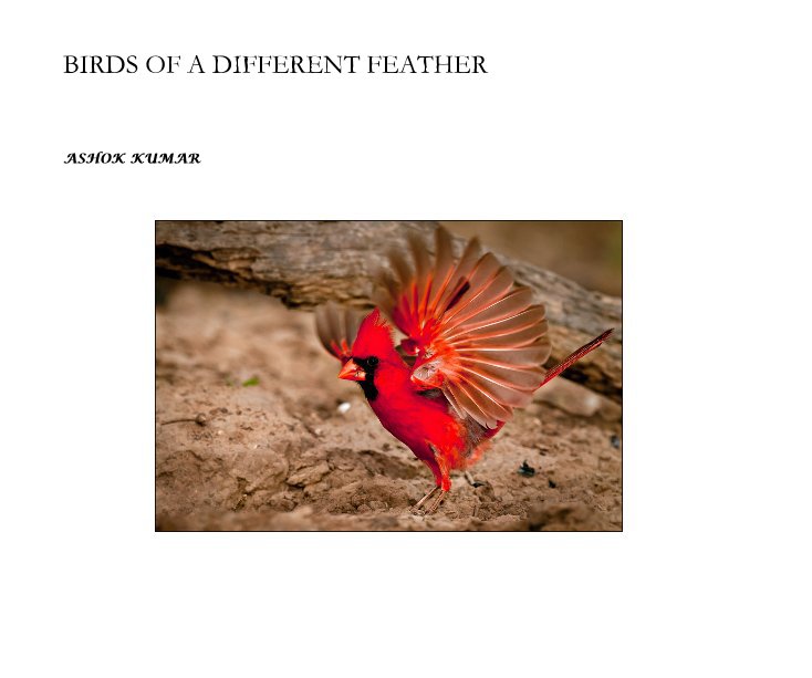 BIRDS OF A DIFFERENT FEATHER by ASHOK KUMAR Blurb Books Canada