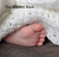 The Blanket Book book cover