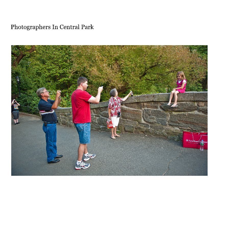 Visualizza Photographers In Central Park di Paul Kessel