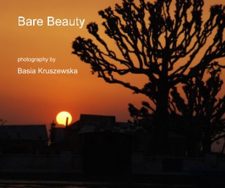 Bare Beauty book cover