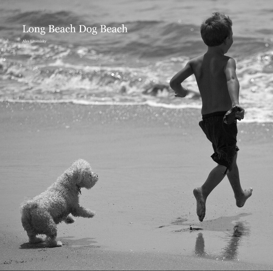 View Long Beach Dog Beach by Ales Litomisky