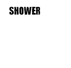 SHOWER book cover