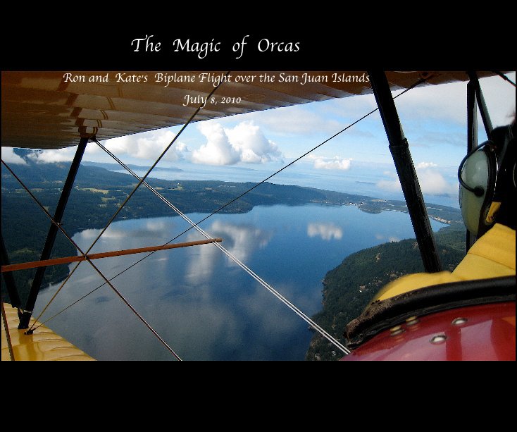 View The Magic of Orcas by July 8, 2010