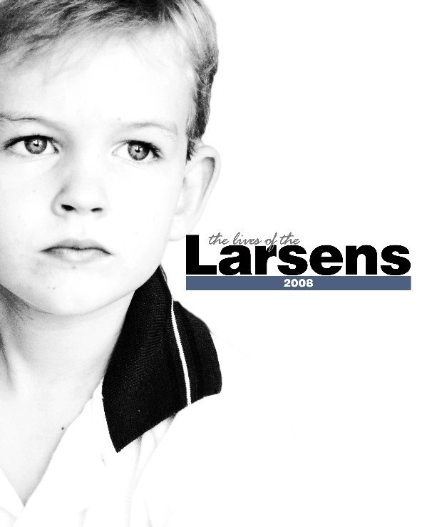 View 2008: Lives of the Larsens by Bruce Elbeblawy