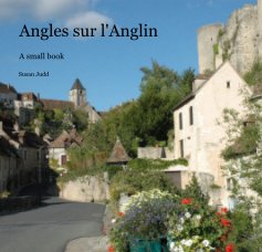 Angles sur l'Anglin book cover