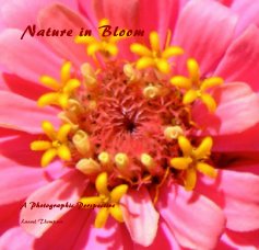 Nature in Bloom book cover
