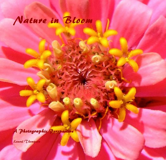 View Nature in Bloom by Laurel Thompson