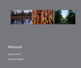 Wisconsin book cover