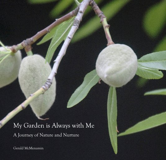 View My Garden is Always with Me by Gerald McMenamin