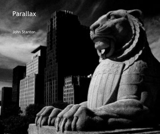 Parallax book cover